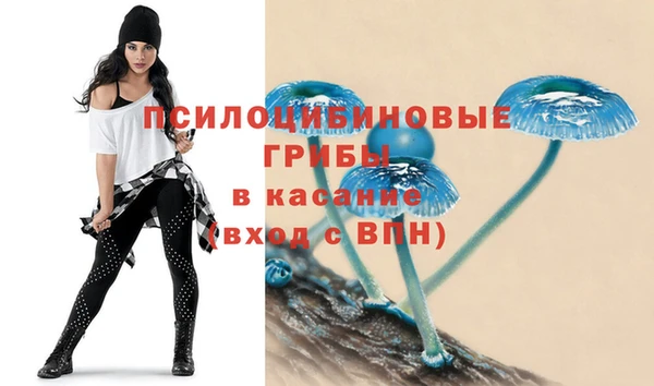 прущие грибы Белоозёрский