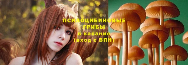 прущие грибы Белоозёрский