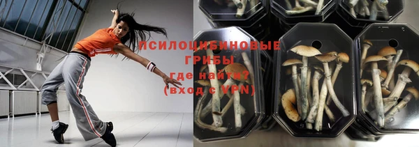 прущие грибы Белоозёрский