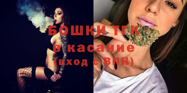 прущие грибы Белоозёрский