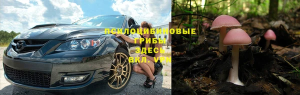 прущие грибы Белоозёрский