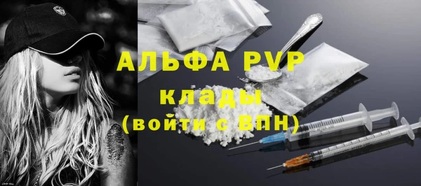 apvp Белокуриха
