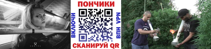 Шишки марихуана конопля Мглин